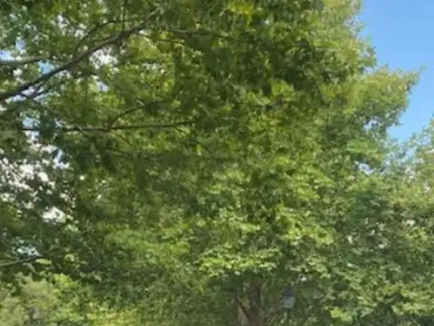 Terreno Lote  en Venta ubicado en Los Alcanfores, Pilar, G.B.A. Zona Norte