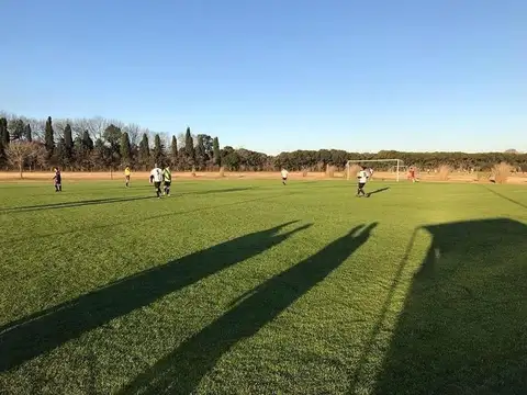 San Sebastián, Área 100