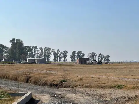 Terreno - Venta - Argentina, Domselaar - O'Higgins  II 2401