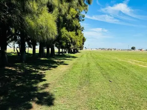 Terreno en Venta en Domselaar, USD 6.000