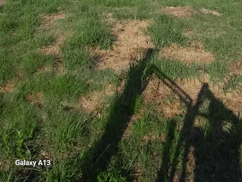 Quinta en Venta en Colonia Ensayo, USD 29.000