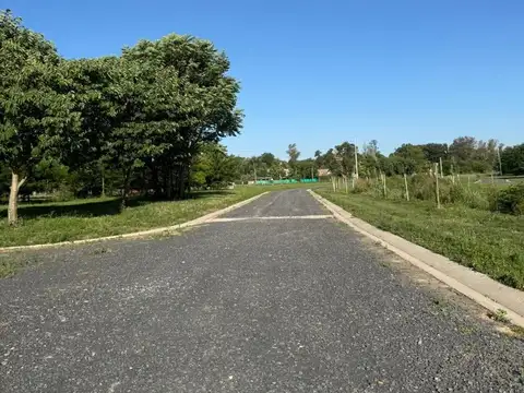 Ingeniero Carlos Chapeaurouge