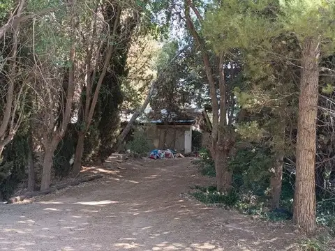 Lote 4870 m2,  muy arbolado y casa, Pza. Huincul