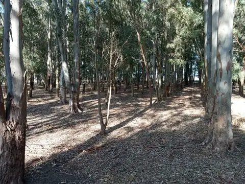 paraje el pescado , Piso 0