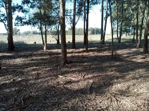 Campo en Venta de 1,42  ha