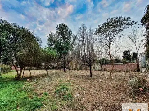 Golf Club Necochea e/ Golf Club San Antonio De Areco y Gualeguaychú Golf Club