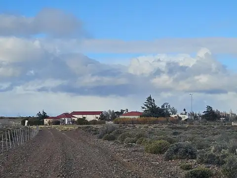 Trelew