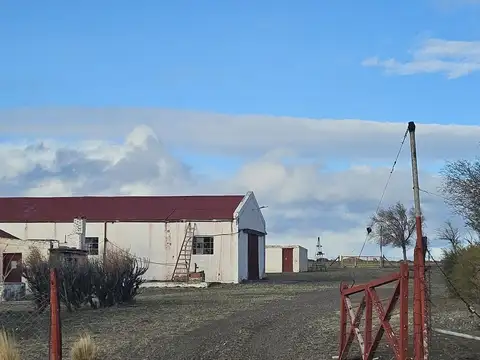 Trelew