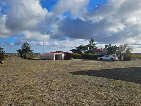 Venta campo Ruta Nacional 3, productivo