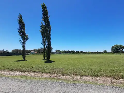 Terreno en Venta 50  mts Fondo