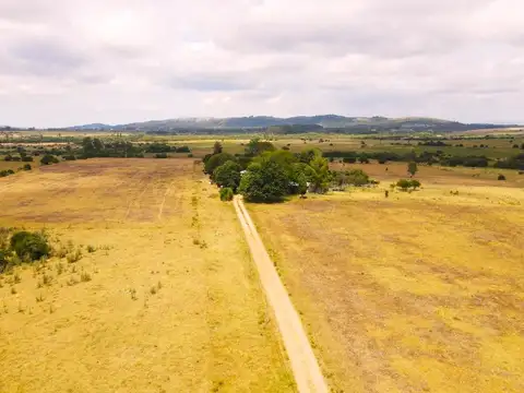 Ruta 9 y 5kms de camino vecinal 100