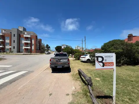 Nuestras malvina y del lido