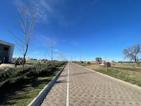 Terreno en Venta en Pueblo Esther, USD 30.000
