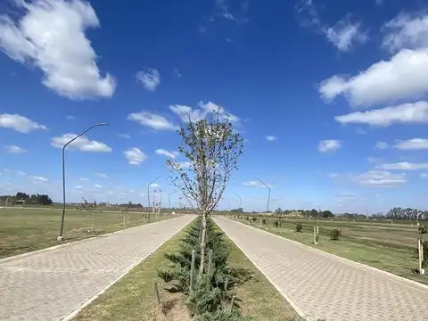 Terreno en Venta 13  mts Frente