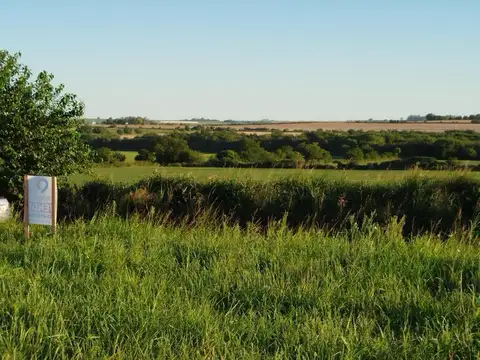 Terreno en Venta de 338,0 m2