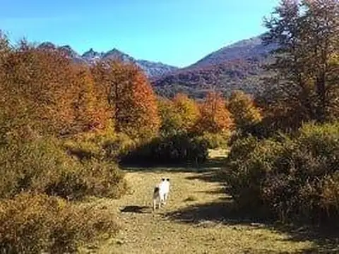 Terreno en Venta de 920000,0 m2