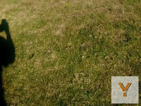 Terreno en venta - 3 Hectáreas - Alegre