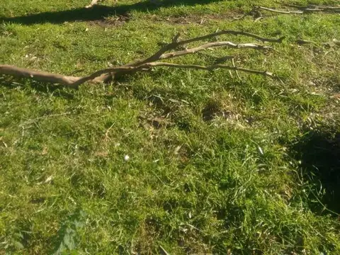 Terreno en Venta de 30000,0 m2