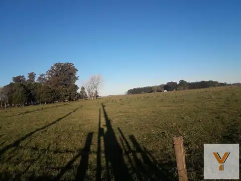 Ruta Provincial 29, KM 28,5
