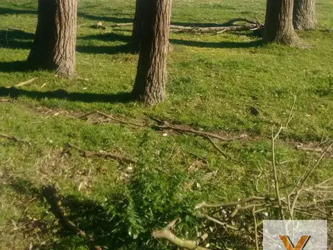 Terreno en Venta en Alegre, USD 59.000