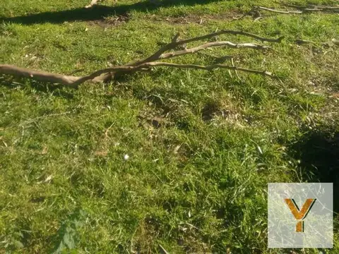 Terreno en Venta de 30000,0 m2
