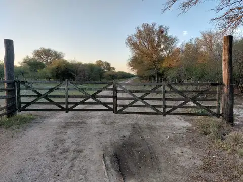 Campo en Venta de 1.000  ha