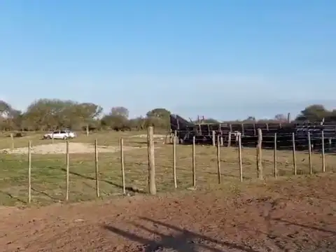 Campo en Venta Agricola