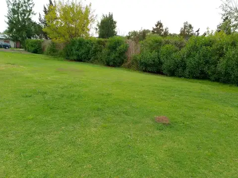 Terreno en Venta de 800,0 m2