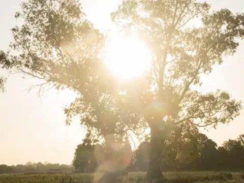 Lote de 600 m² en La Eugenia by Moradas – Naturaleza, seguri