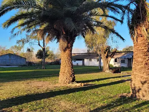 Terreno Campo  en Venta en Parada Robles, Exaltación de la Cruz