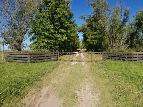 VENTA DE 514 HECTAREAS CON 3 CASA DE CACEROS Y CASONA PRINCIPAL