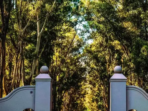 LOTE GRAN VENTA CHACRAS SAN ANDRES CARLOS KEEN    