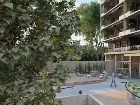 Francisco Seguí 600