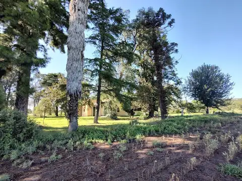 Terreno - San Nicolas De Los Arroyos
