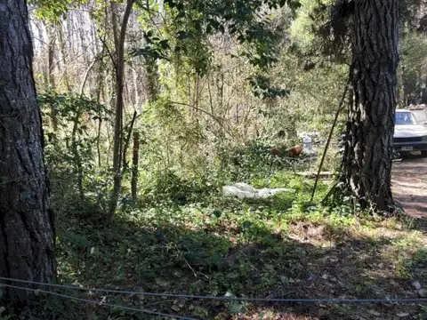 Calle 36 entre Viña del Mar y Copacabana 100