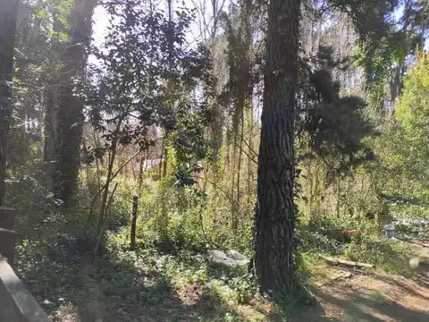 Calle 36 entre Viña del Mar y Copacabana 100