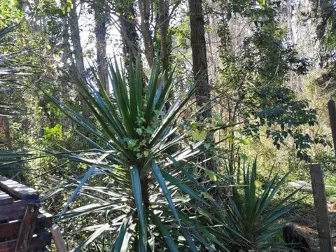 LOTE a 4 CUADRAS del MAR de 475 M2 - Mar Azul | Cod.0725 |