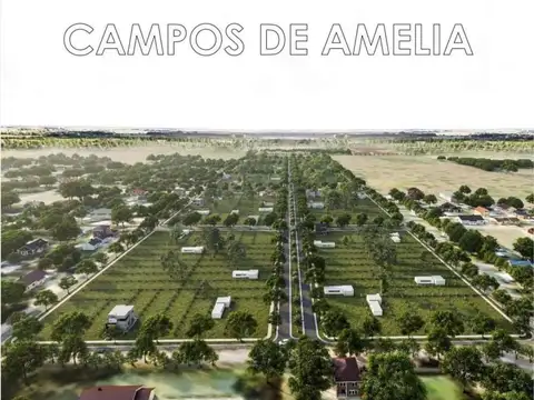 VENTA LOTE EN CAMPO DE AMELIA- VILLA AMELIA