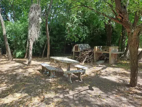 Quinta-Venta-20 de Junio-Arboles-Pileta-Asfalto-Oportunidad