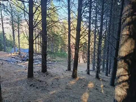 Terreno en Venta en San Martín de los Andes, USD 135.000