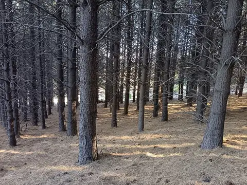 Terreno en Venta de 2403,0 m2