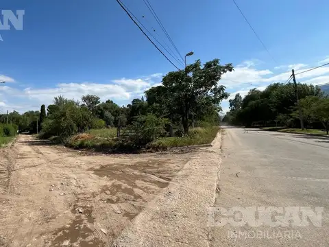 Terreno en Venta en Pellegrini, USD 110.000