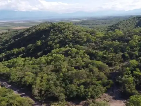 Terreno en Venta en Coronel Moldes, USD 74.000