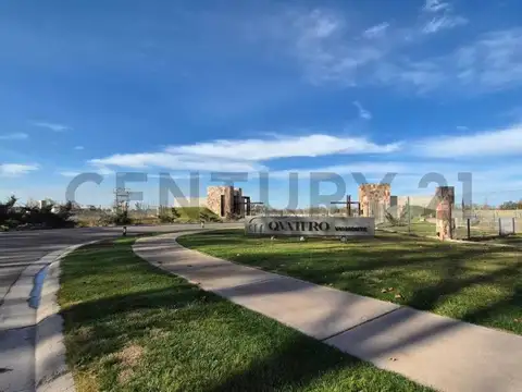 LOTE EN VENTA EN LUJAN DE CUYO, CALLE VIAMONTE
