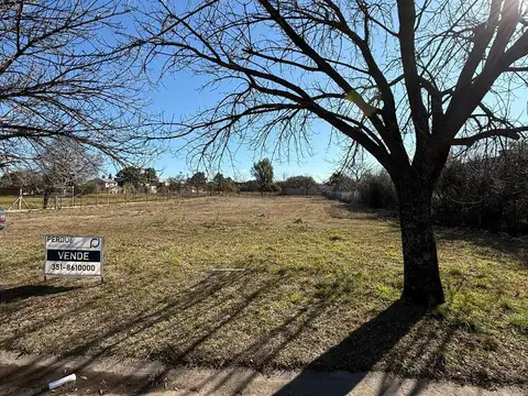 C. Principal Quintas de Flores 0