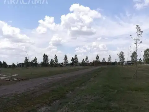 Terreno en Venta de 1070,0 m2