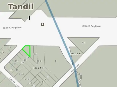 Juan C Pugliese y Los Aromos