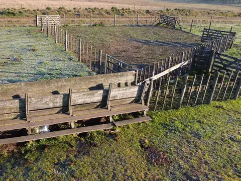 Campo en  Del Carril