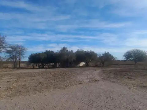 Fondo Comercio en Venta 20 años