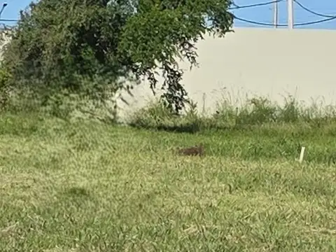 Terreno en Venta de 638,0 m2